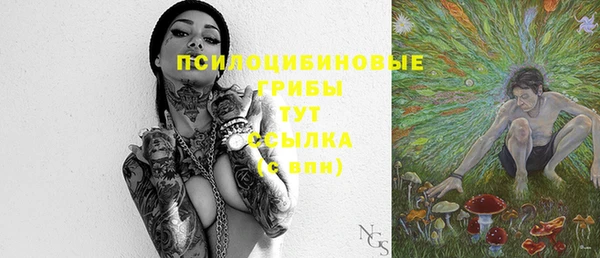 apvp Алексеевка