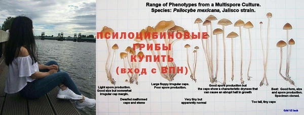 apvp Алексеевка