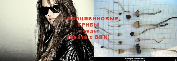 apvp Алексеевка